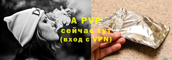 ПСИЛОЦИБИНОВЫЕ ГРИБЫ Горняк