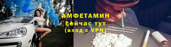 ПСИЛОЦИБИНОВЫЕ ГРИБЫ Горняк