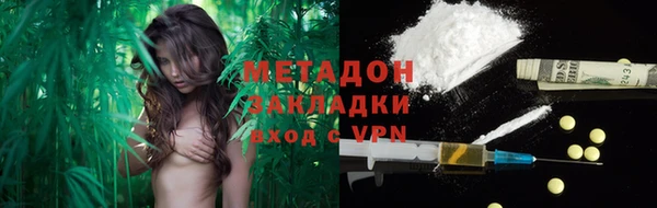 прущие грибы Вязники