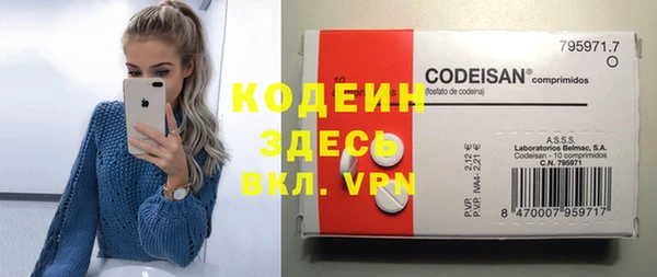 прущие грибы Вязники