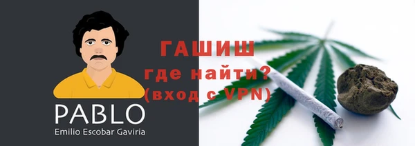 прущие грибы Вязники