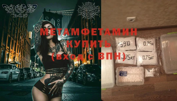 прущие грибы Вязники
