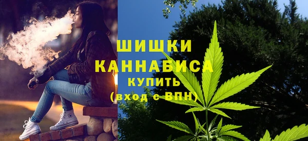 прущие грибы Вязники