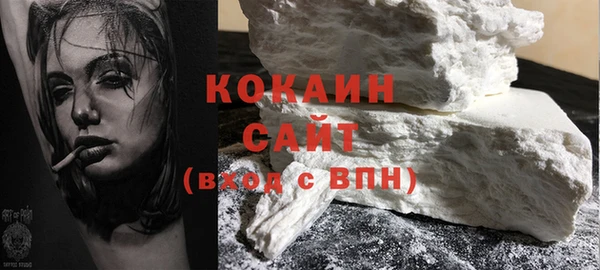 прущие грибы Вязники