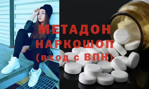 прущие грибы Вязники