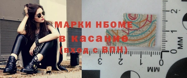 прущие грибы Вязники