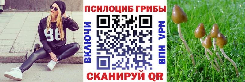 Псилоцибиновые грибы ЛСД  Нерюнгри 
