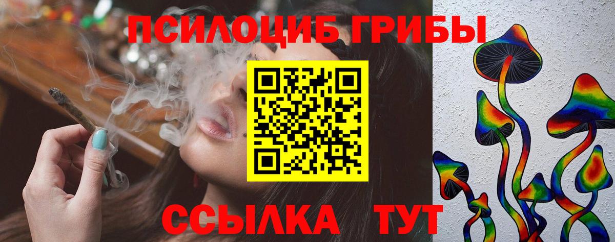 Псилоцибиновые грибы Magic Shrooms  Вход с VPN  Нерюнгри 